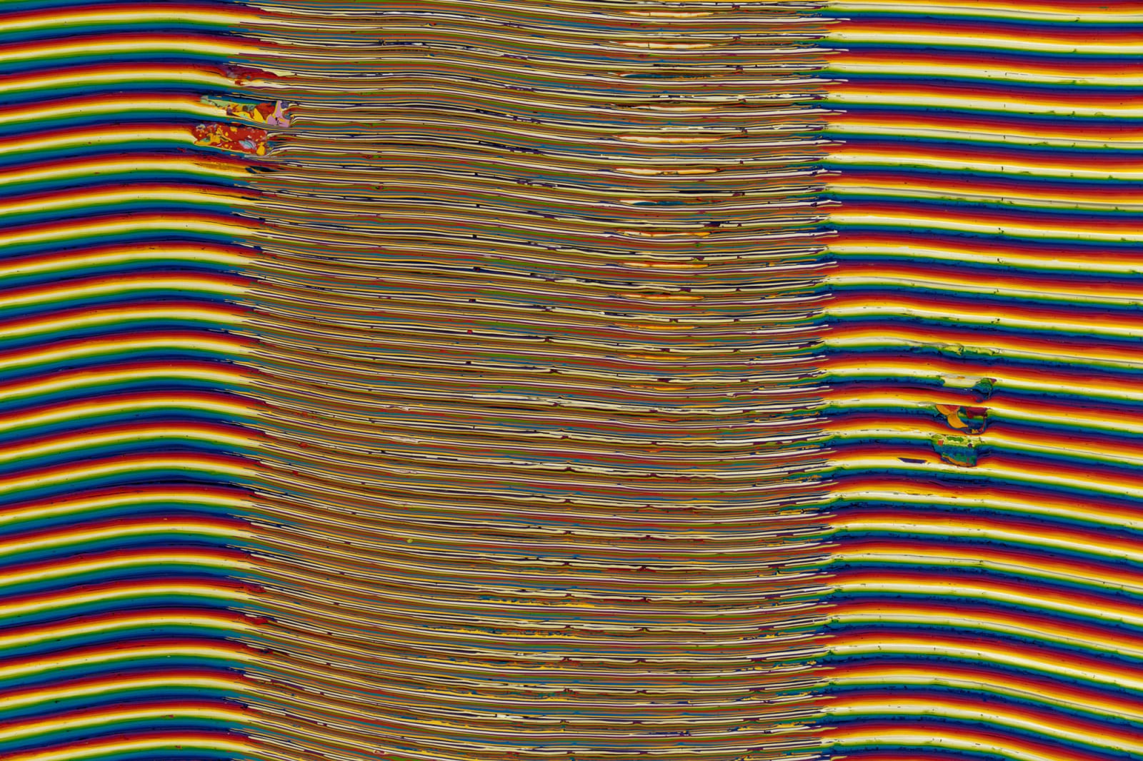 LORIEL BELTR&Aacute;N, Full Spectrum Contrast, 2022 (detail)