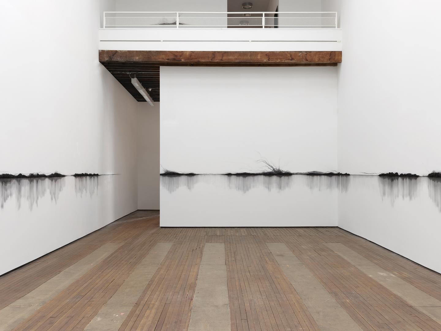 Teresita Fern&aacute;ndez, Fire (America) installation view 3