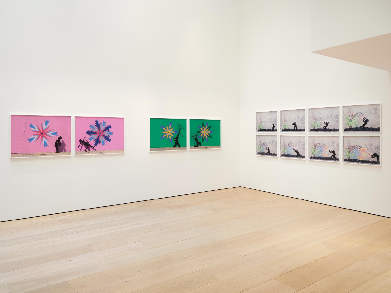 Robin Rhode: African Dream Root, Installation View