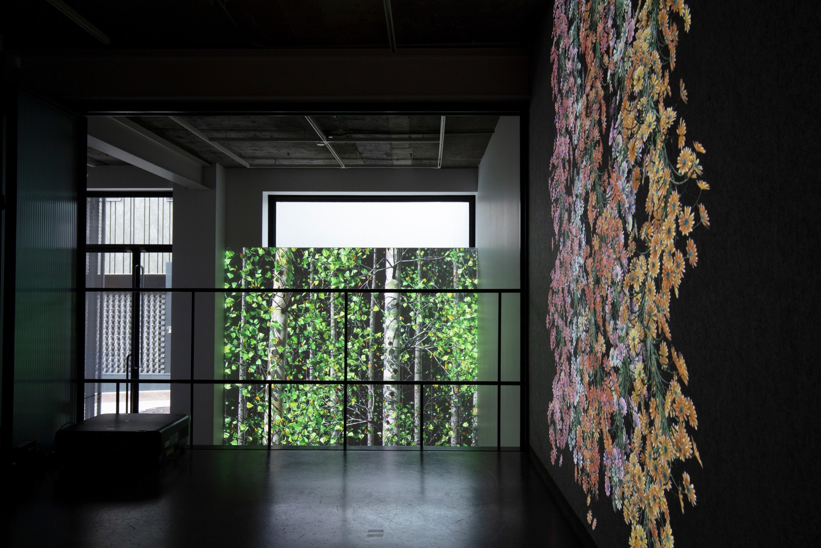 Jennifer Steinkamp,&nbsp;Souls, Installation view, Lehmann Maupin, Seoul, 2020