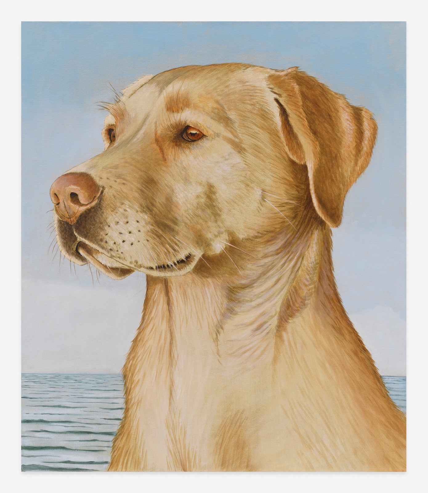 Sean Landers, Yellow Lab