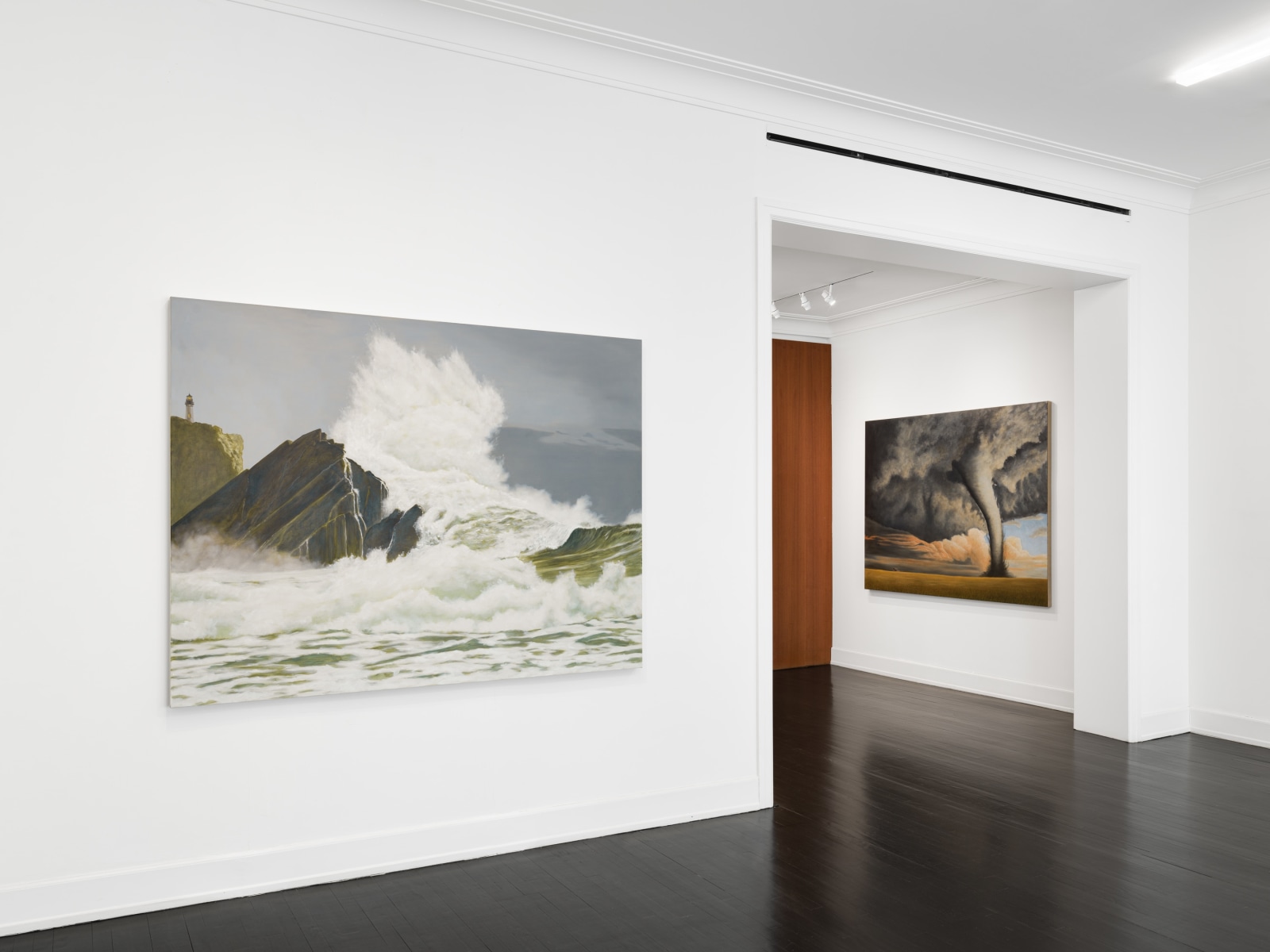 Installation view, Sean Landers, Unnatural Disasters, Petzel, 2022