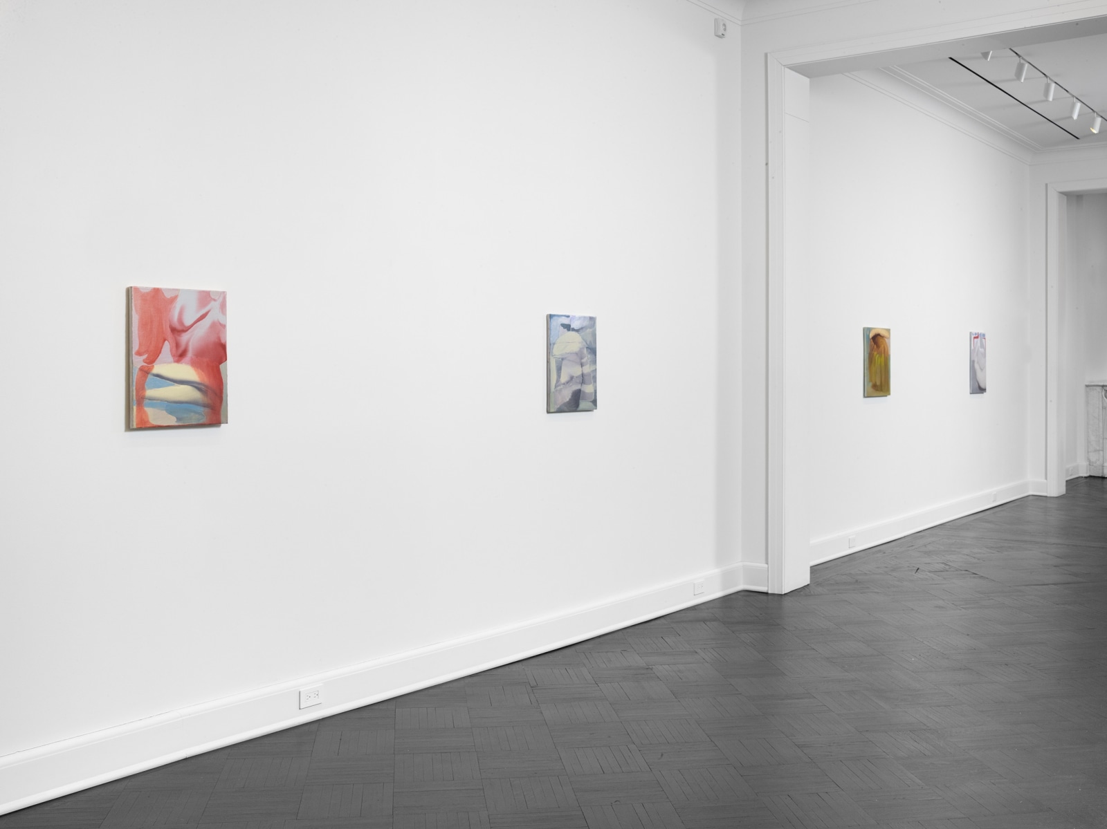 Installation view, Rezi van Lankveld, Soft Sun, Petzel, 2022