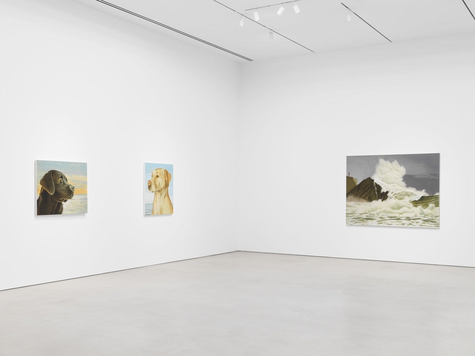 Installation view, Sean Landers, Adrift,&nbsp;Petzel, 2023