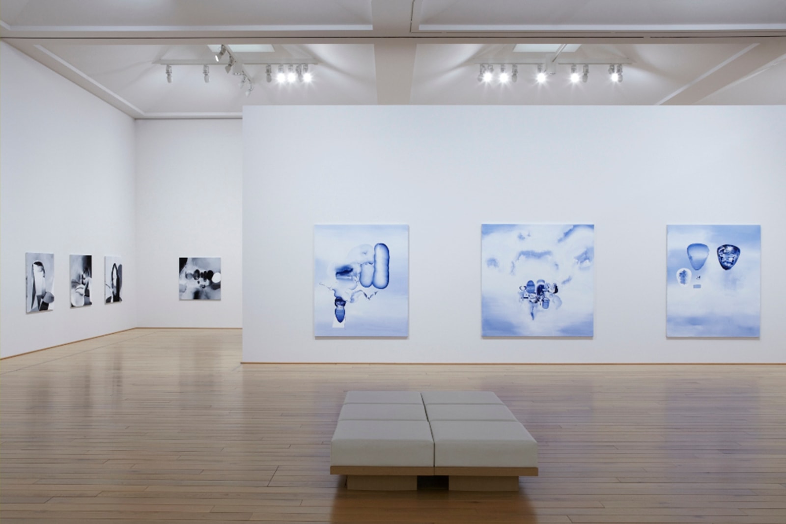 Installation view, Tomoo Gokita, The Great Circus, Kawamura DIC Memorial Museum of Art, Sakura, Chiba, 2014