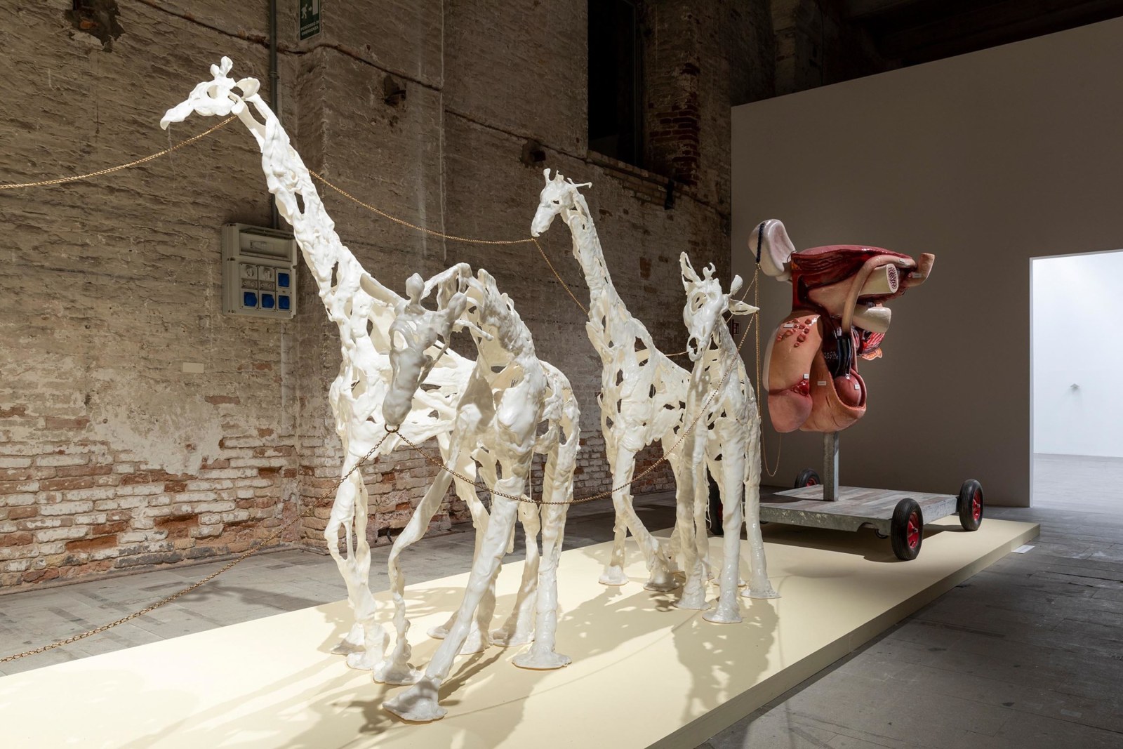 Installation view,&nbsp;The Milk of Dreams, Venice Biennale, 2022