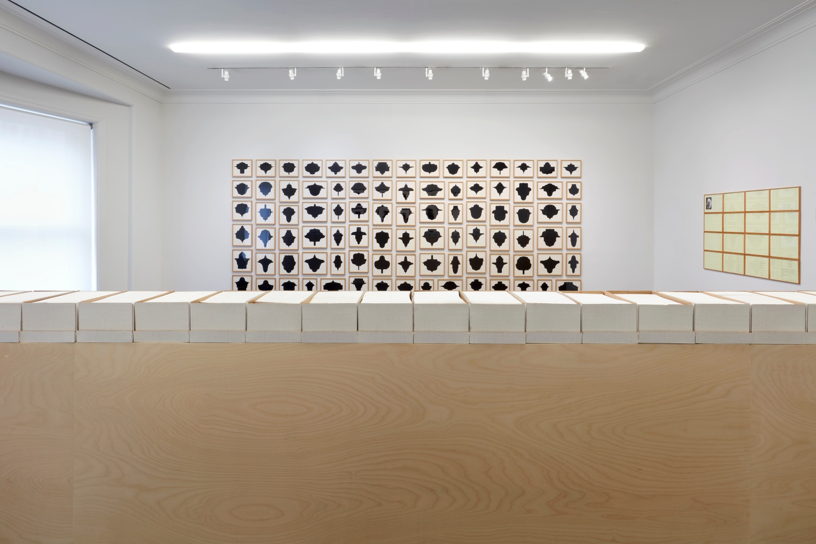 Hanne Darboven, Wade Guyton, Allan McCollum, Stephen Prina, Samson Young, Installation view