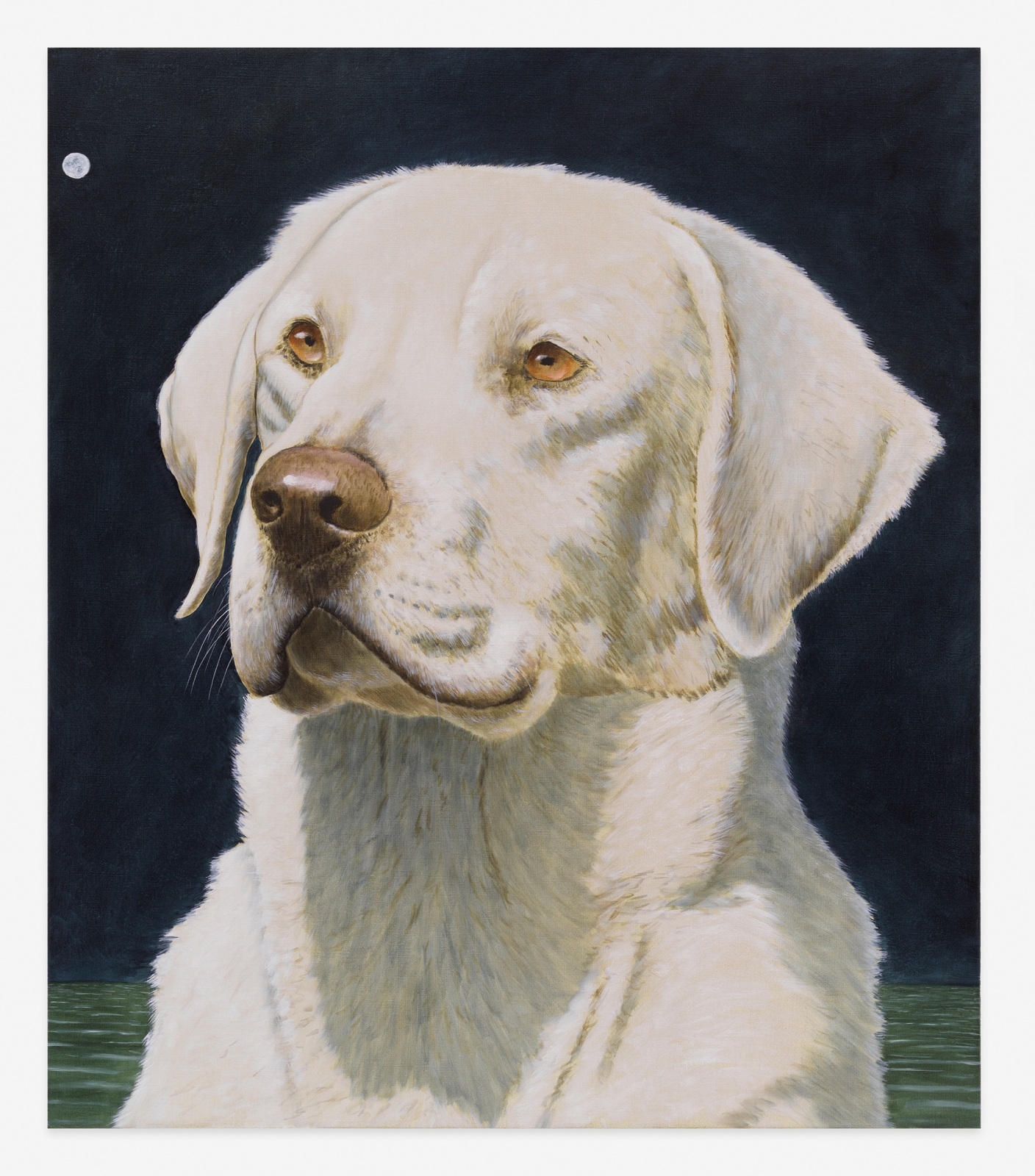 White Lab, 2023, Oil on linen