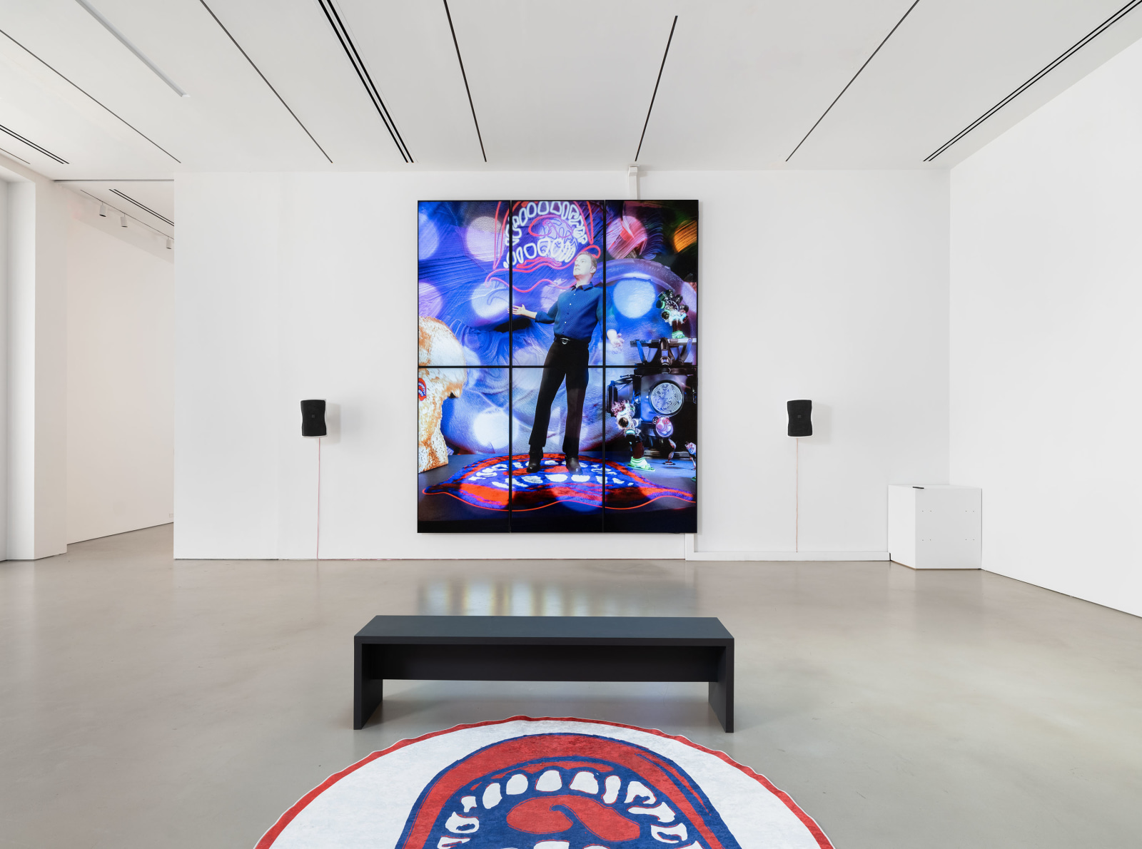 Installation view, Pieter Schoolwerth, Supporting Actor,&nbsp;Petzel, 2024