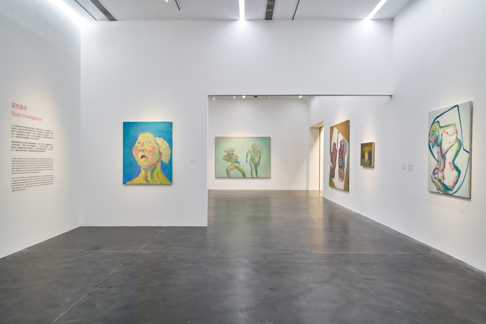 Maria Lassnig - Happy Martian - Viewing Room - Petzel Gallery