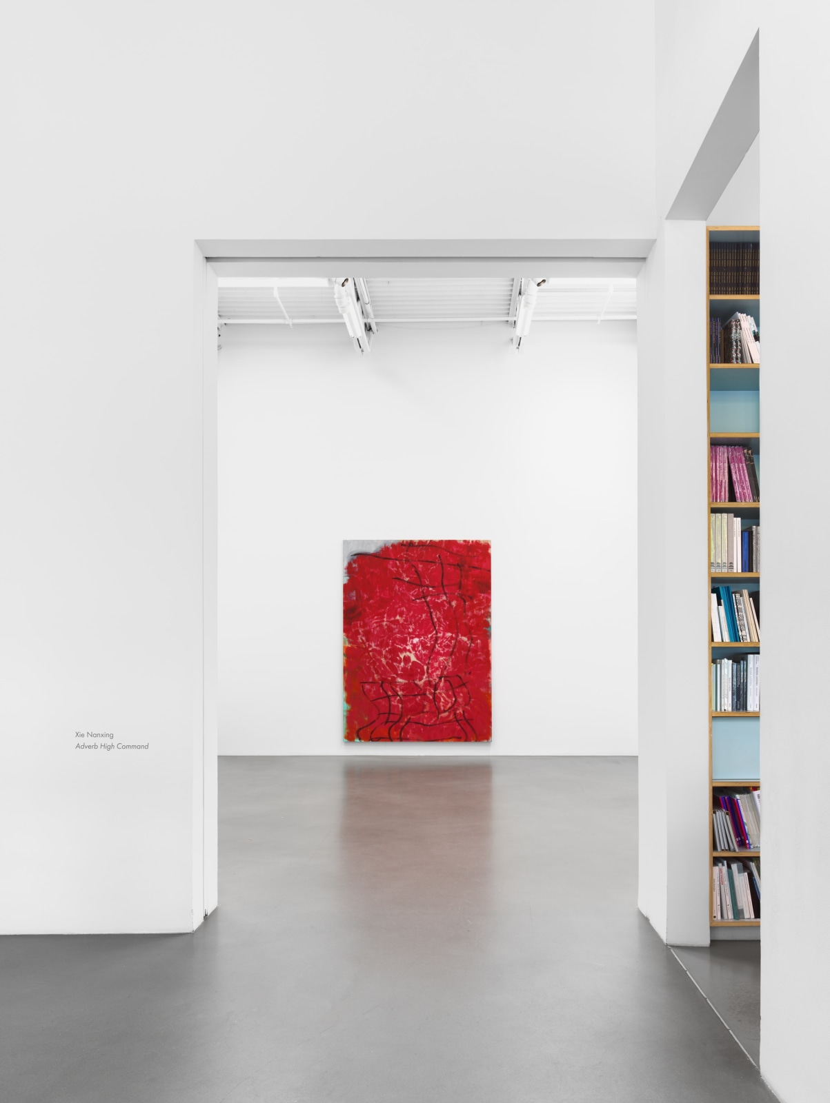 Installation view, Xie Nanxing, Adverb High Command, Petzel, 2022