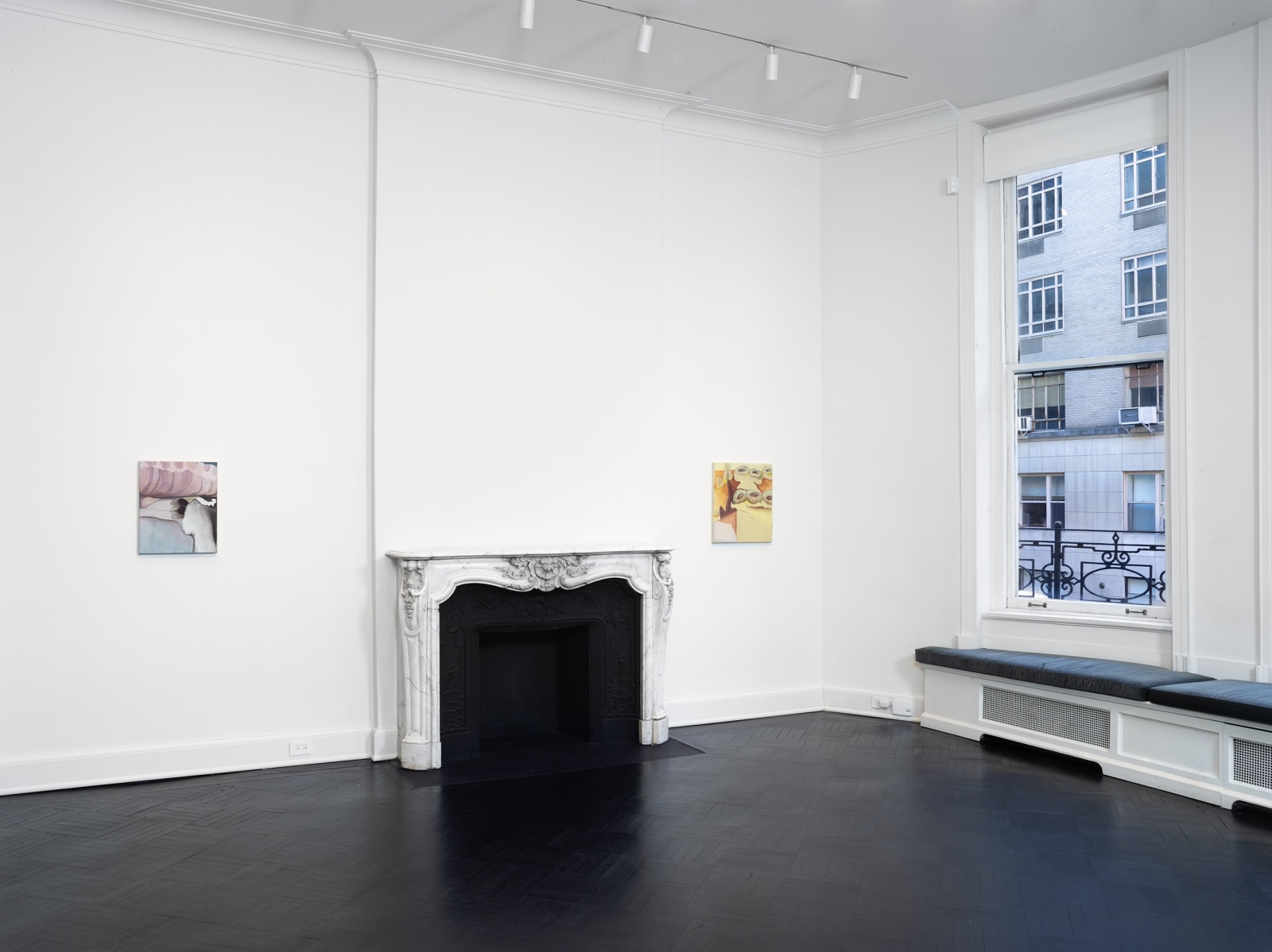 Installation view, Rezi van Lankveld, Soft Sun, Petzel, 2022