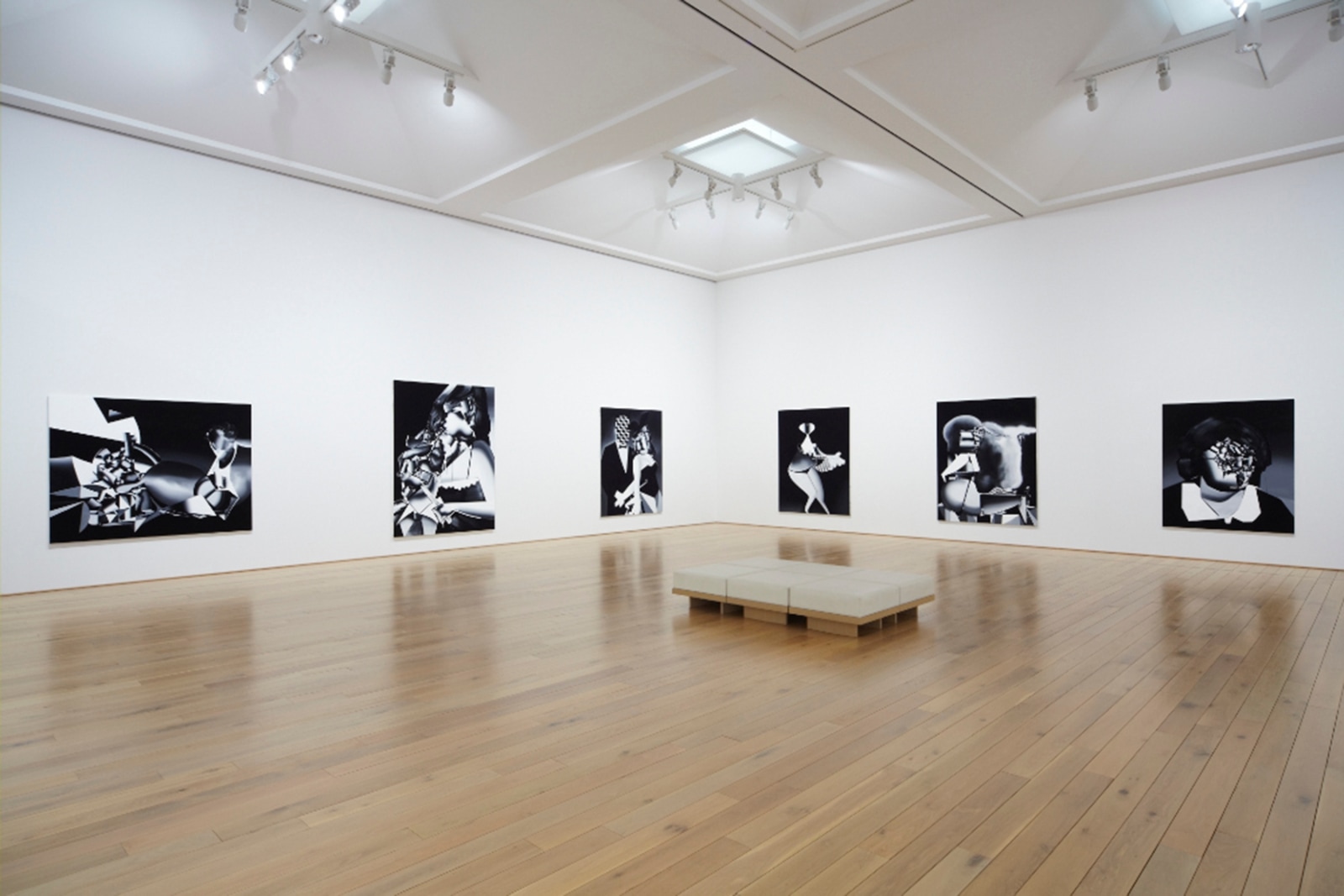 Installation view, Tomoo Gokita, The Great Circus, Kawamura DIC Memorial Museum of Art, Sakura, Chiba, 2014