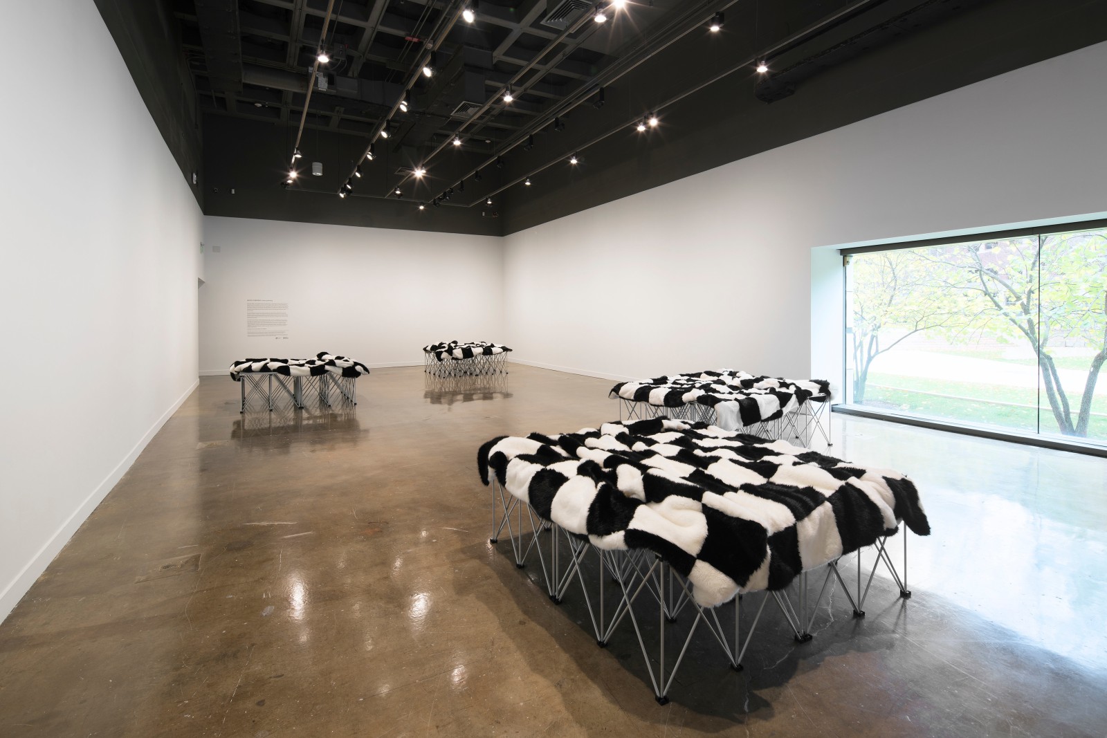 Heimo Zobernig: chess painting. Installation view, 2017. MIT List Visual Arts Center, Cambridge, Massachusetts. Photo: Peter Harris Studio.