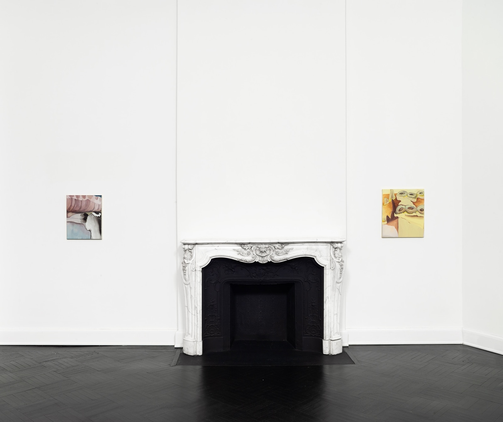 Installation view, Rezi van Lankveld, Soft Sun, Petzel, 2022