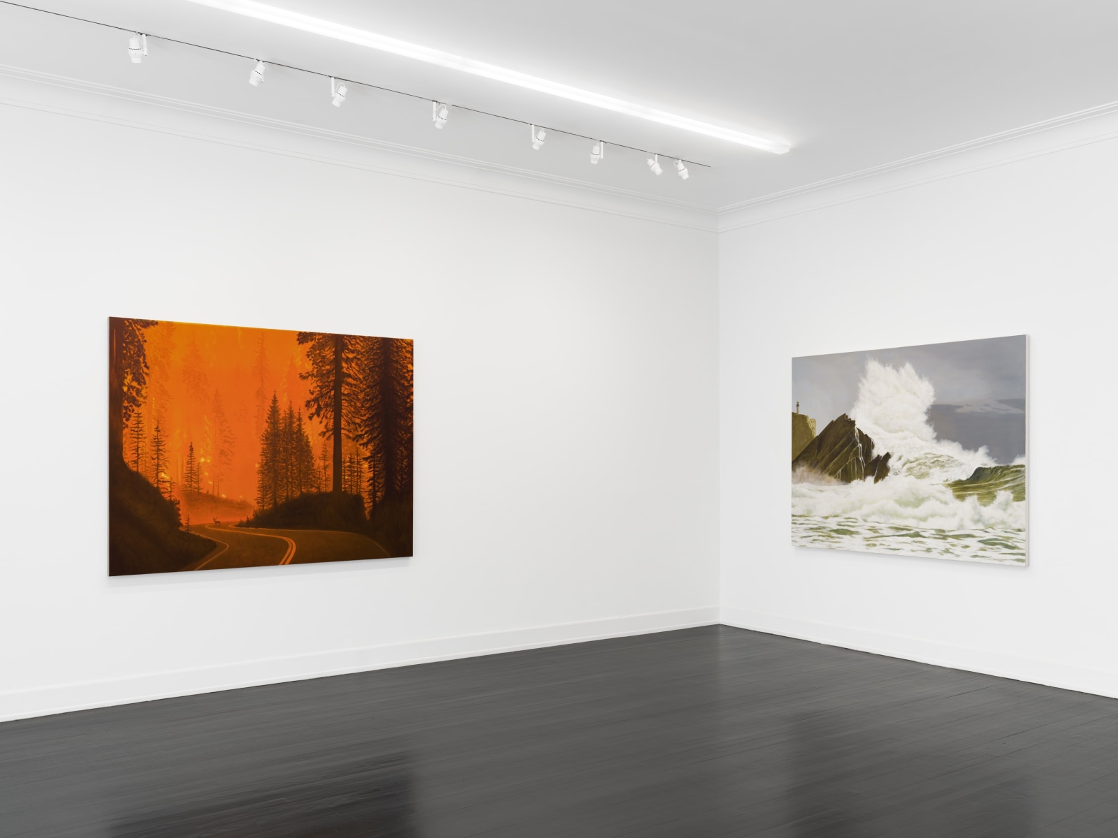 Installation view, Sean Landers, Unnatural Disasters, Petzel, 2022