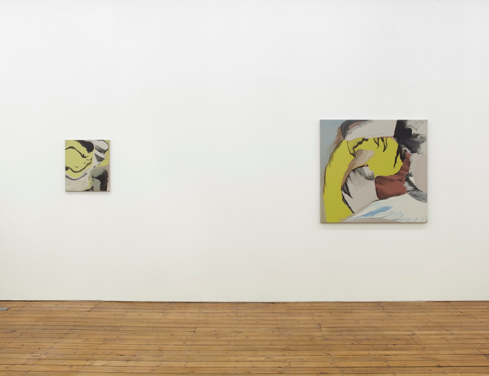 Rezi van Lankveld, The Approach, 2013, Installation view