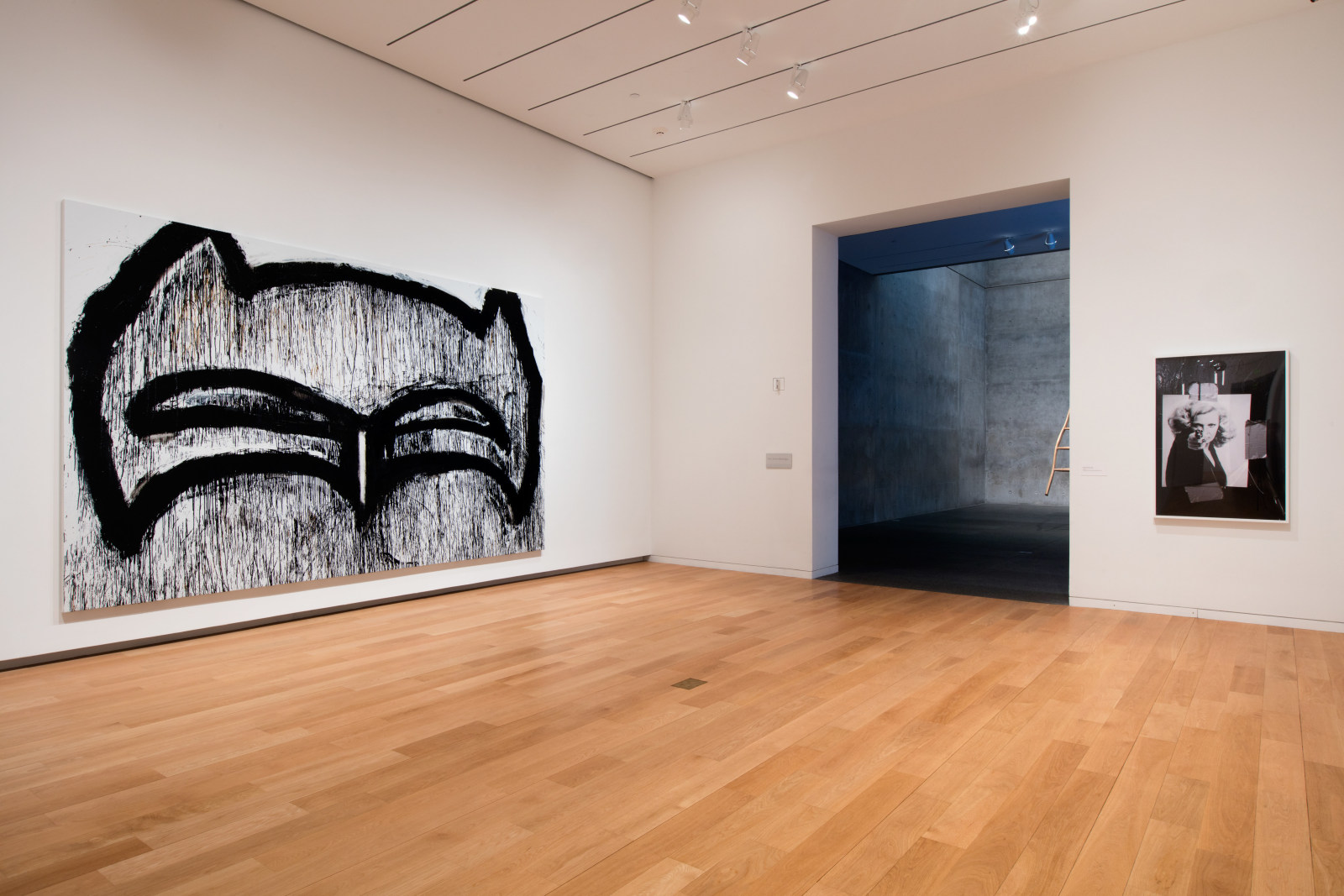 Focus: Joyce Pensato, Modern Art Museum of Fort Worth, 2015   Installation view