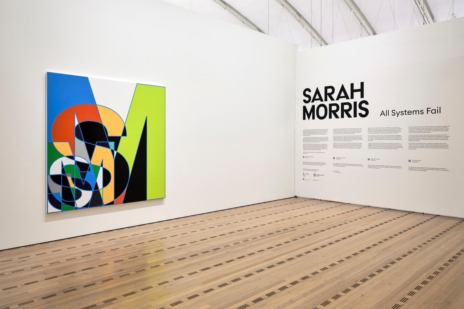 Sarah Morris - All Systems Fail - Viewing Room - Petzel Gallery