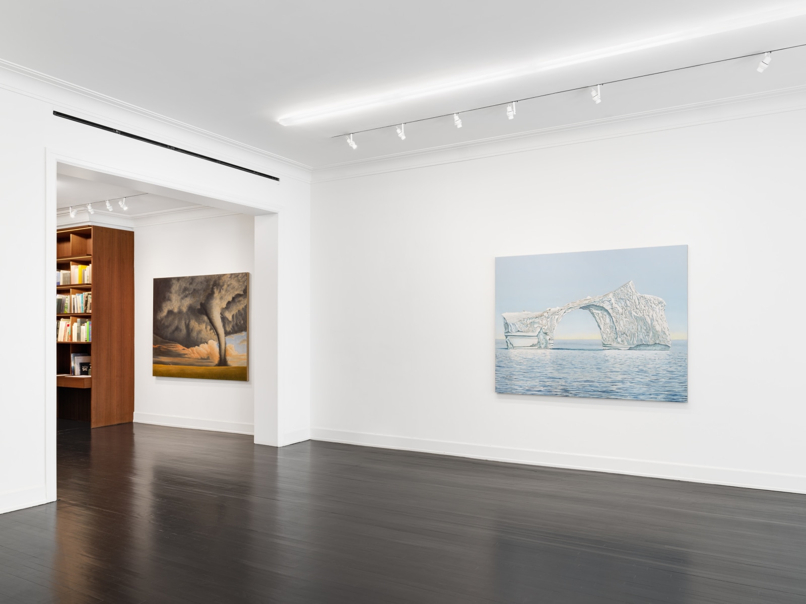 Installation view, Sean Landers, Unnatural Disasters, Petzel, 2022