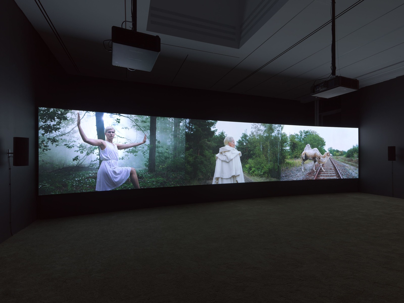 Installation view, Yael Bartana,&nbsp;Malka Germania, Petzel, 2023