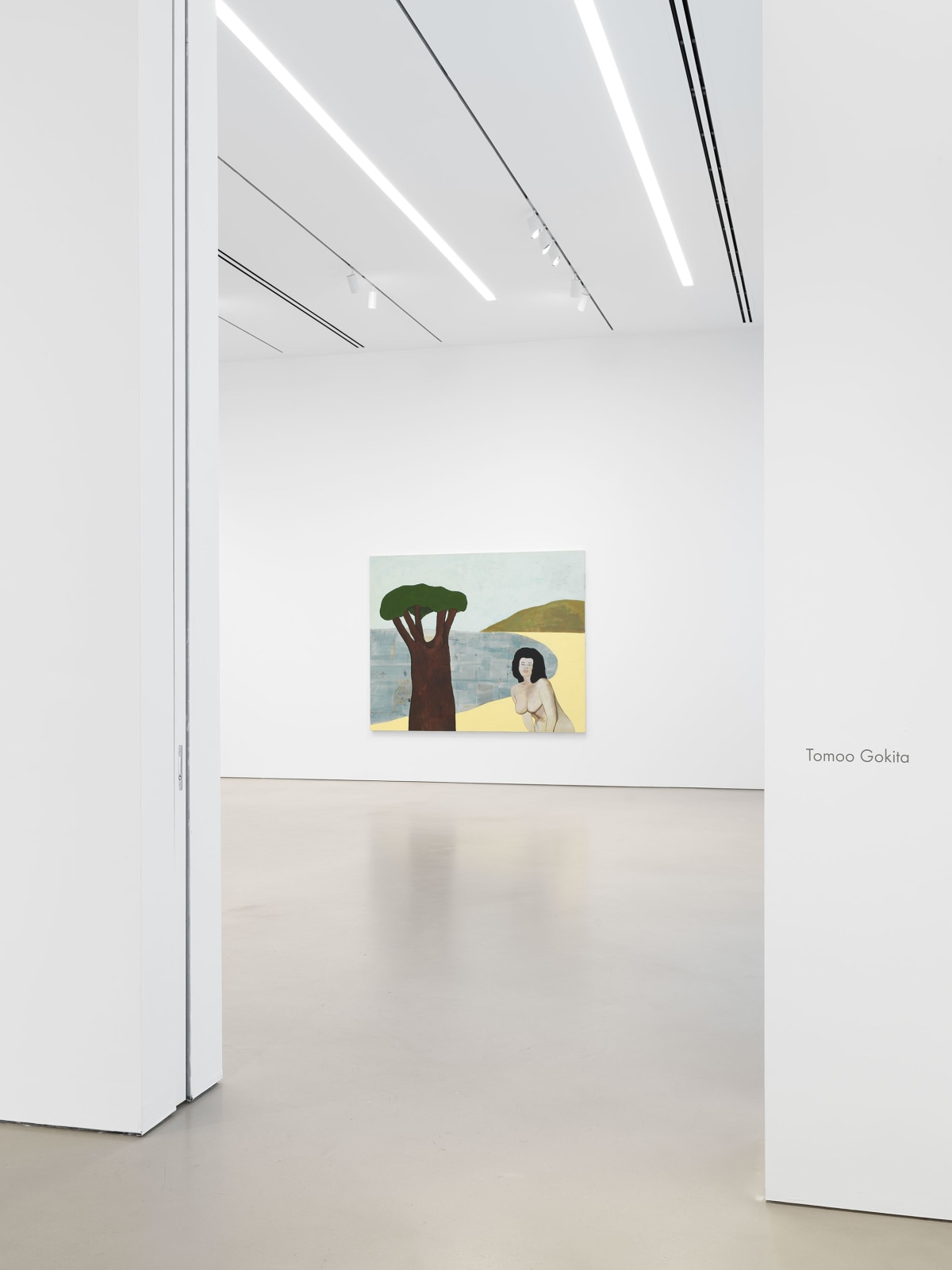 Installation view, Tomoo Gokita, Petzel, 2023