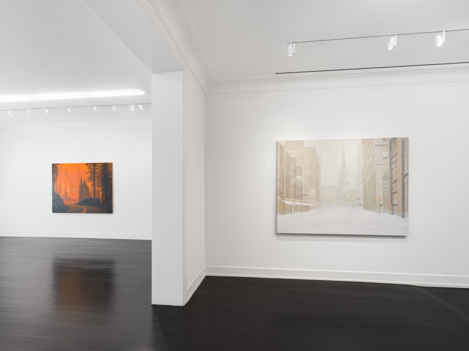 Installation view, Sean Landers, Unnatural Disasters, Petzel, 2022