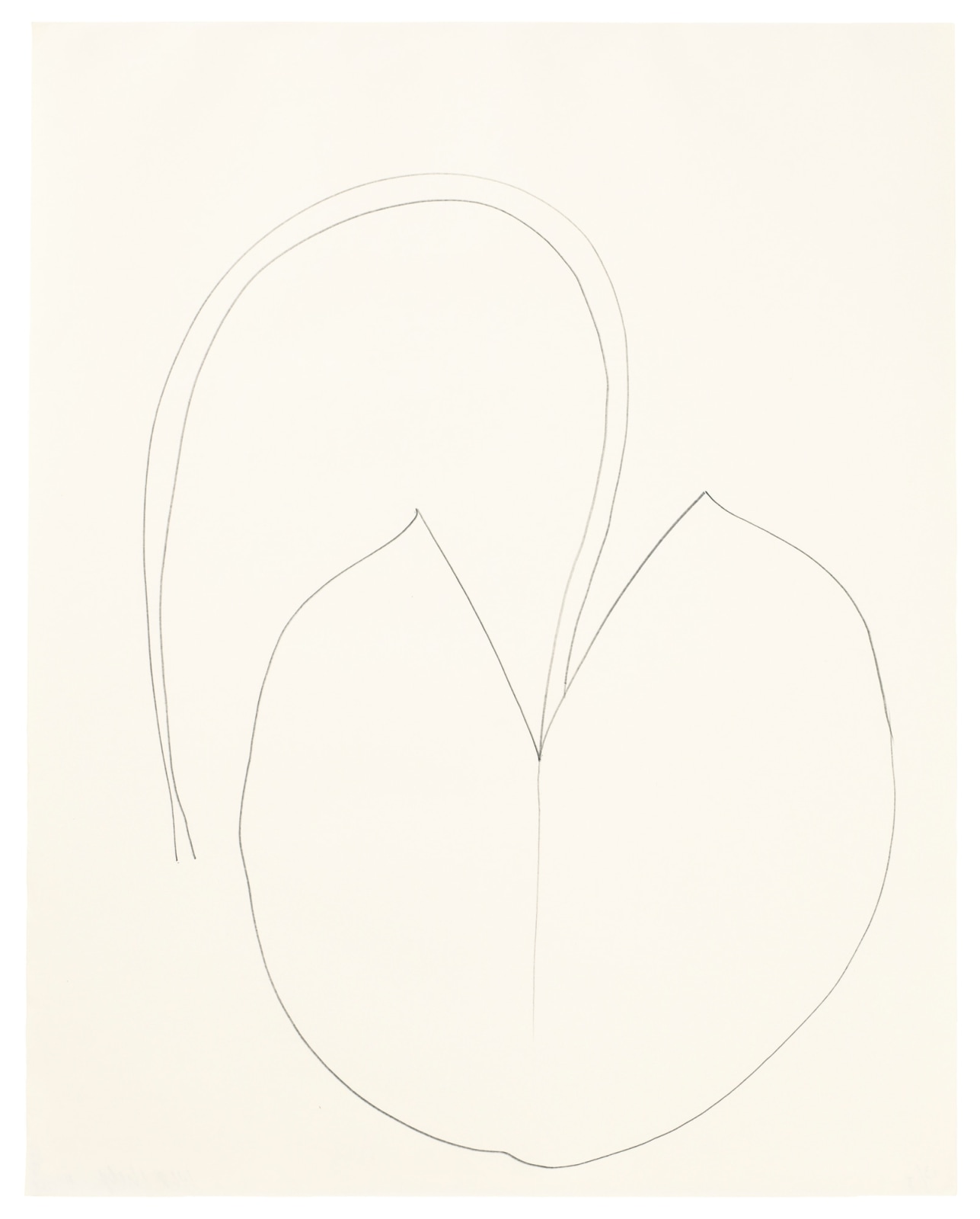 Ellsworth Kelly, Water lily