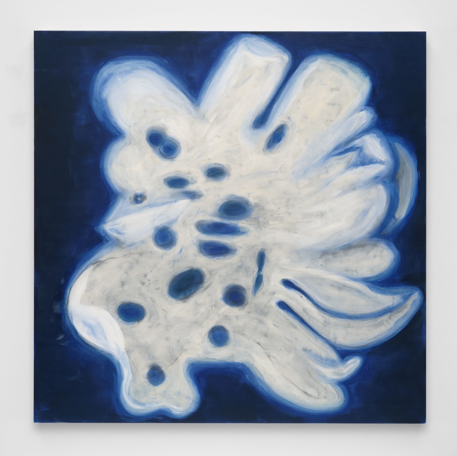 Ross Bleckner, Octopus