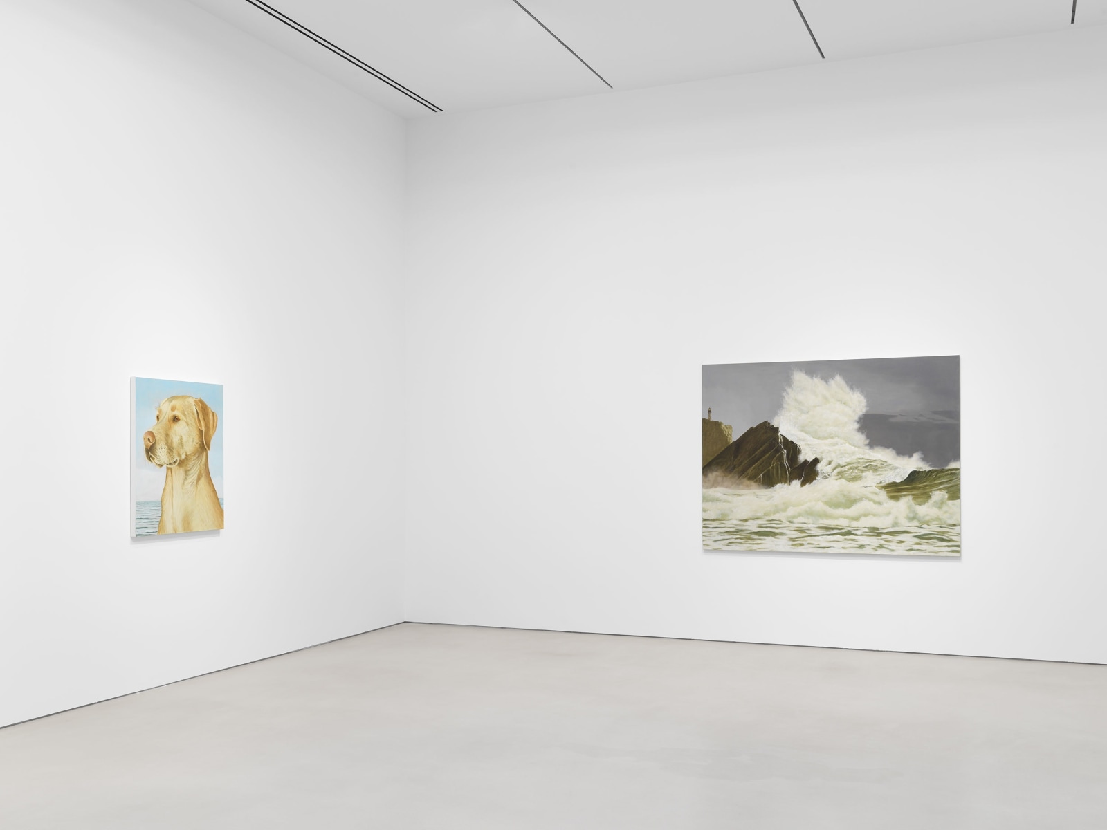 Installation view, Sean Landers, Adrift,&nbsp;Petzel, 2023