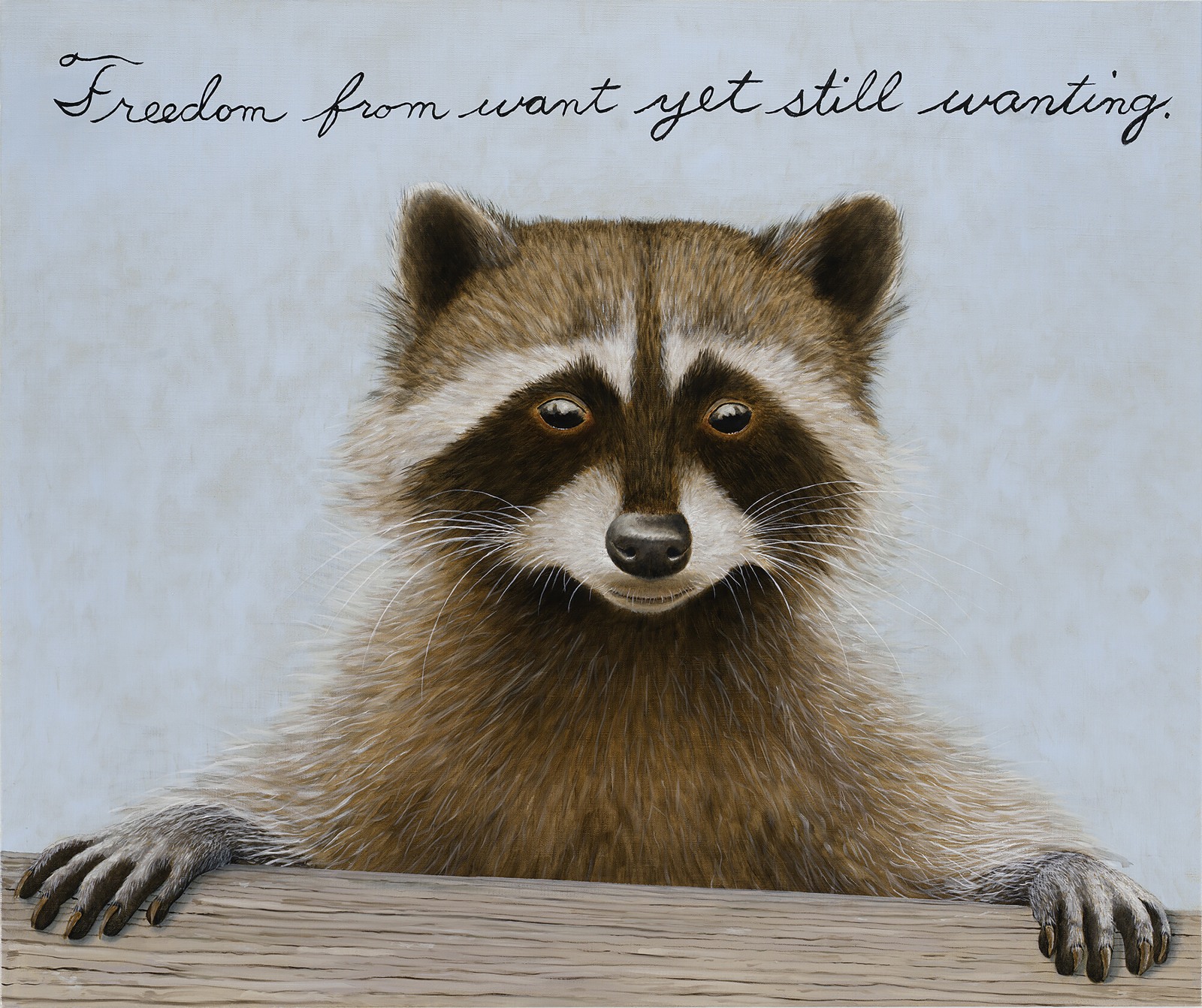 Sean Landers, Raccoon