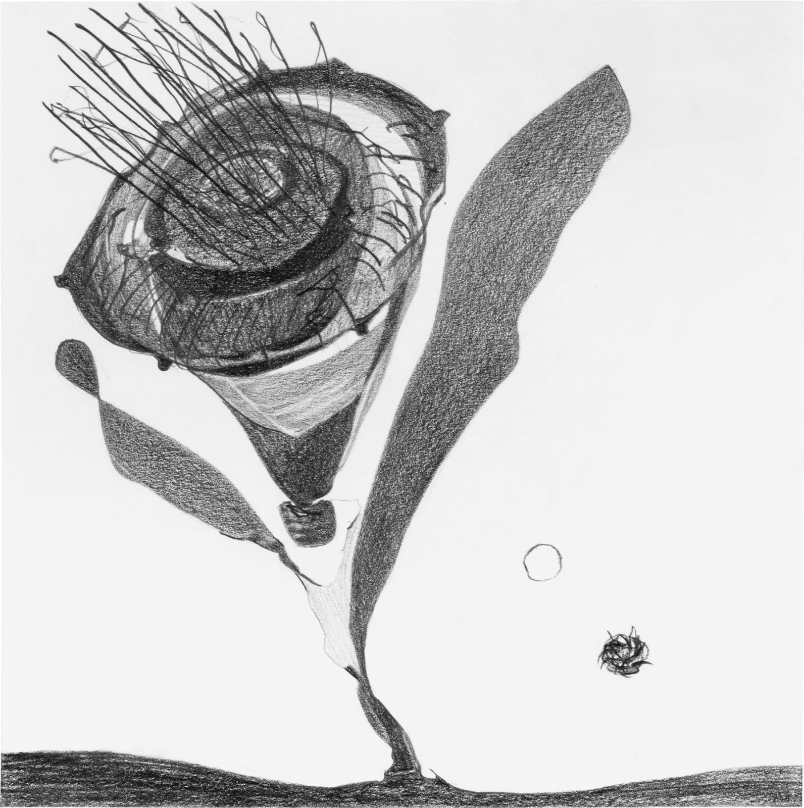 Pollen 2015 Graphite on paper