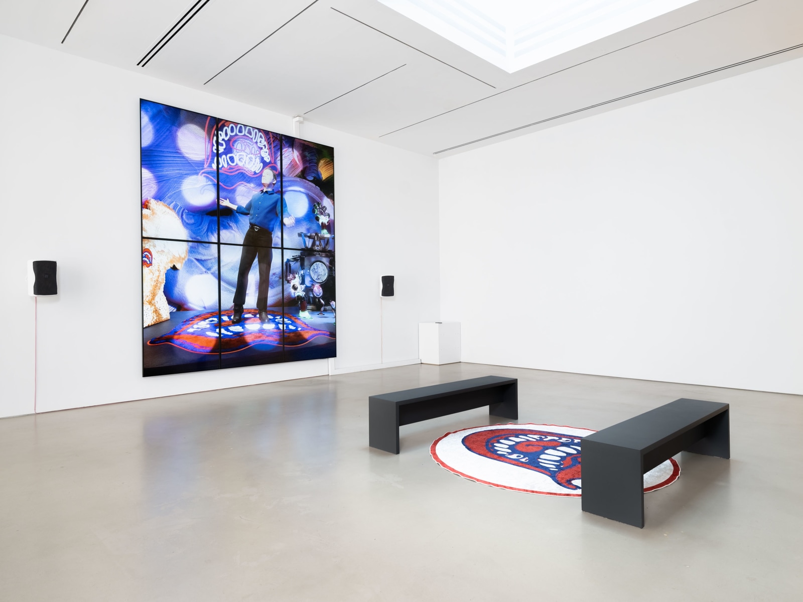 Installation view, Pieter Schoolwerth, Supporting Actor,&nbsp;Petzel, 2024