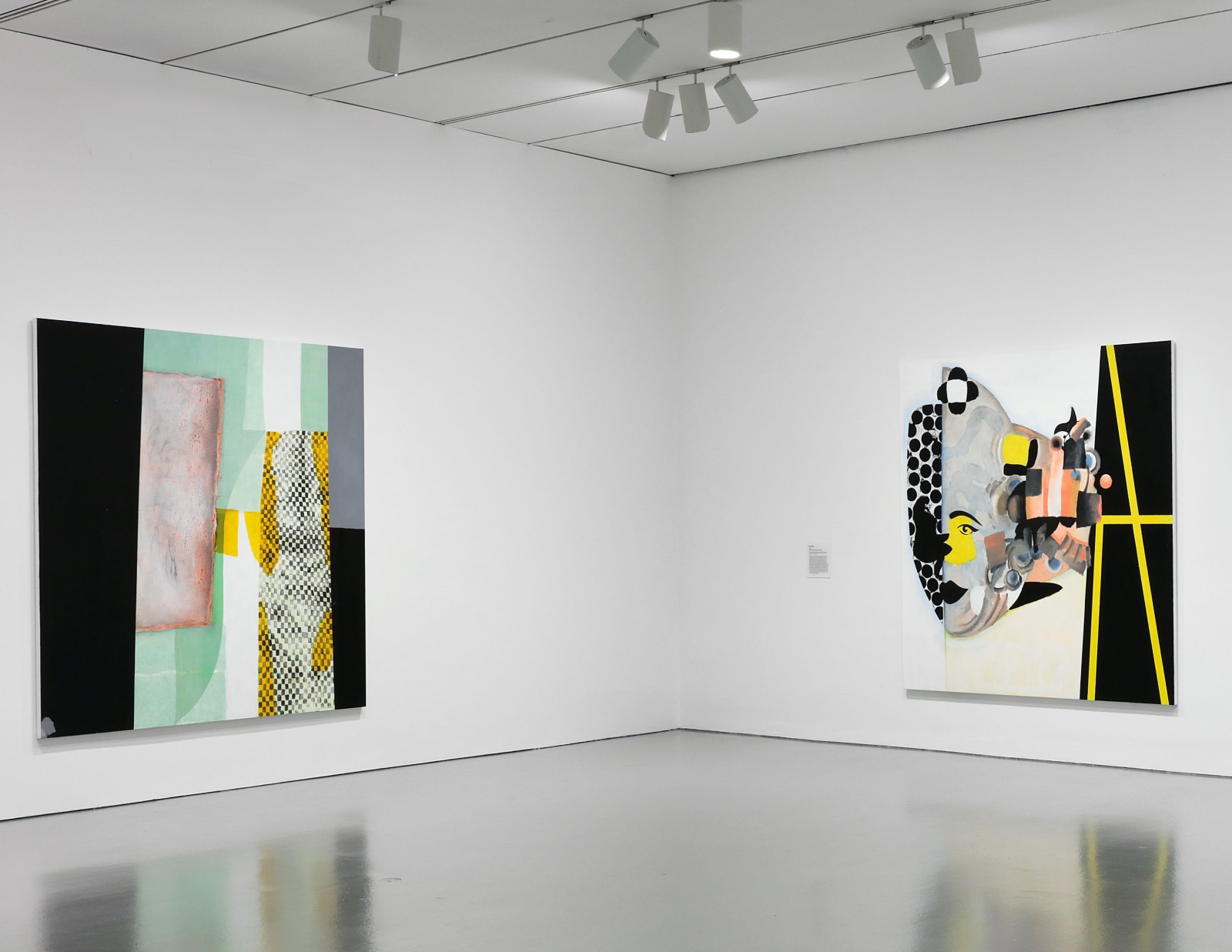 Installation view, Charline von Heyl: Snake Eyes, Hirshhorn Museum and Sculpture Garden, 2018