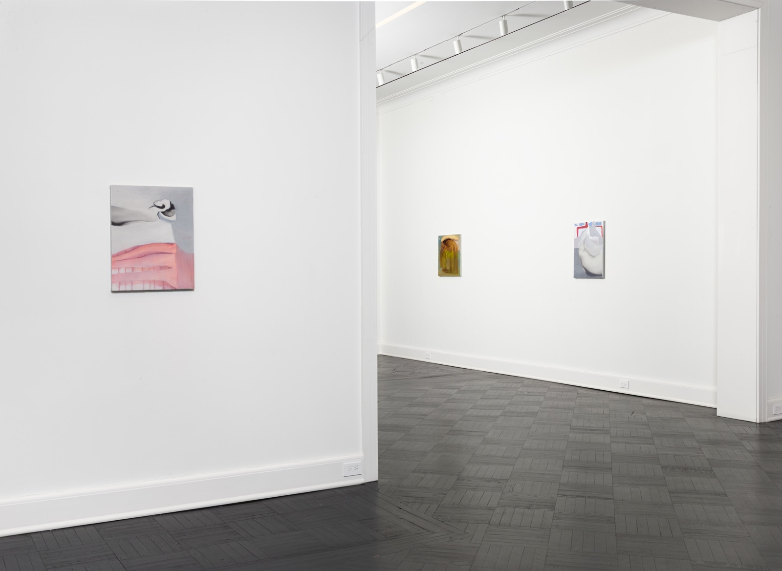 Installation view, Rezi van Lankveld, Soft Sun, Petzel, 2022