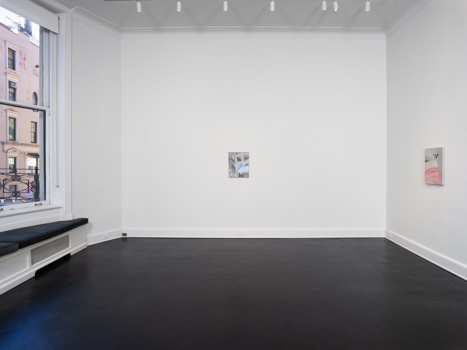 Installation view, Rezi van Lankveld, Soft Sun, Petzel, 2022