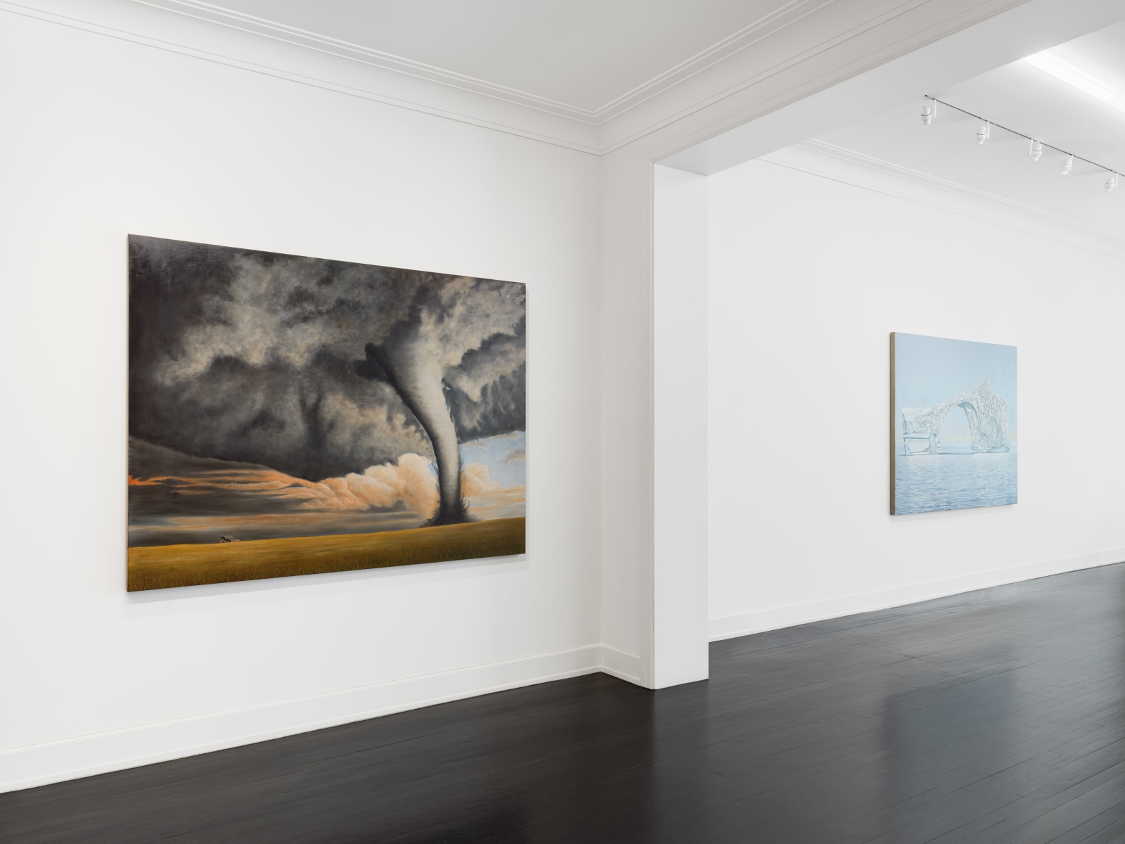 Installation view, Sean Landers, Unnatural Disasters, Petzel, 2022