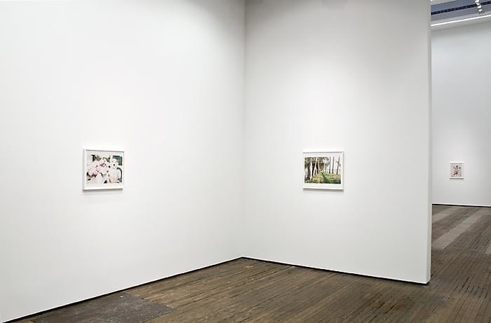 Installation view of Juergen Teller exhibition at Lehmann Maupin in New York in 2012, view 2