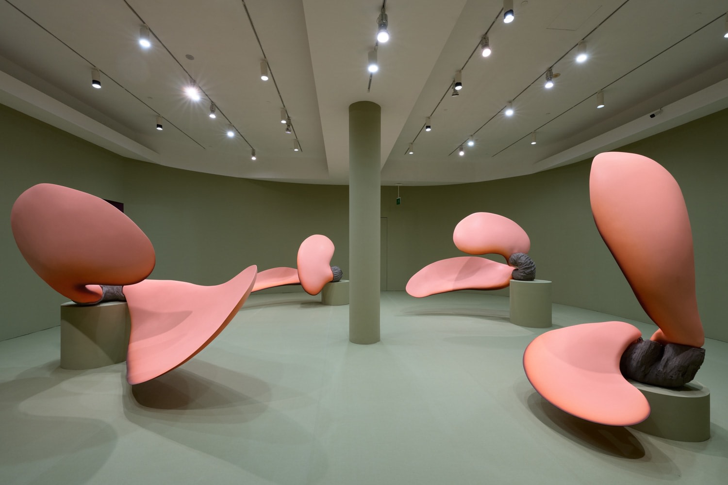 Teresa Solar Abboud: Bird Machine Dream, Installation view