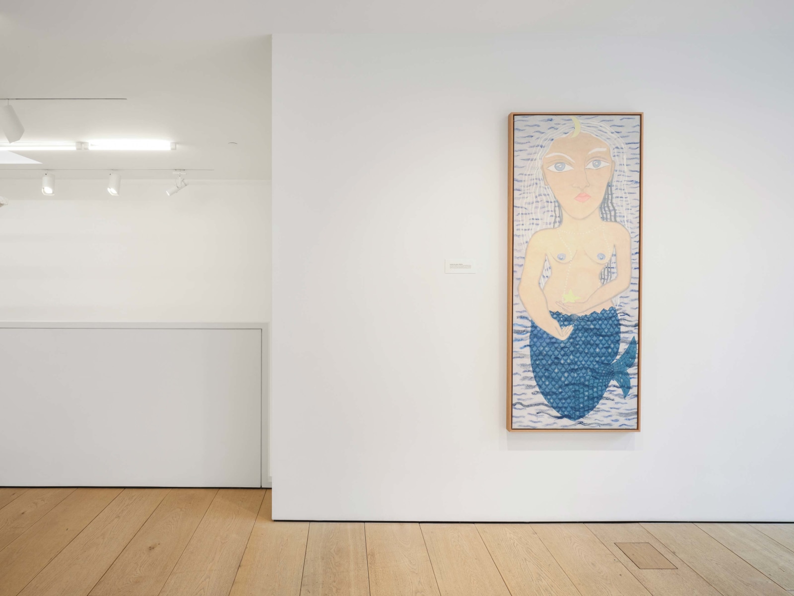 Cecilia Vicu&ntilde;a: La Migranta Blue Nipple, Installation View