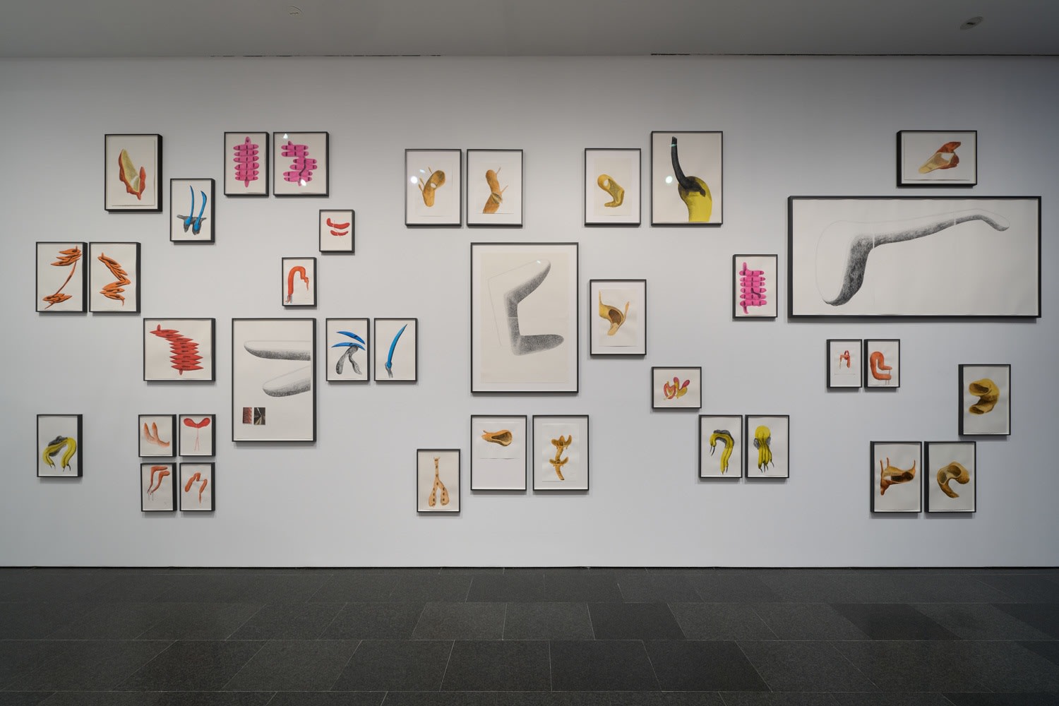 Teresa Solar Abboud: Bird Machine Dream, Installation view