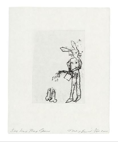 TRACEY EMIN See how They Grow, 2010