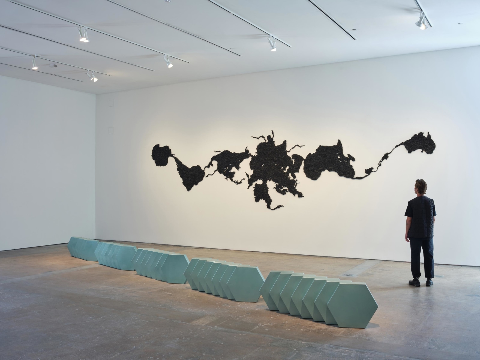 Teresita Fern&aacute;ndez / Robert Smithson, Installation view