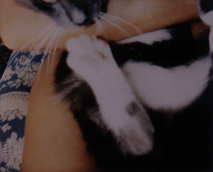TRACEY EMIN, Me + Docket Furry Baby #10, 2002