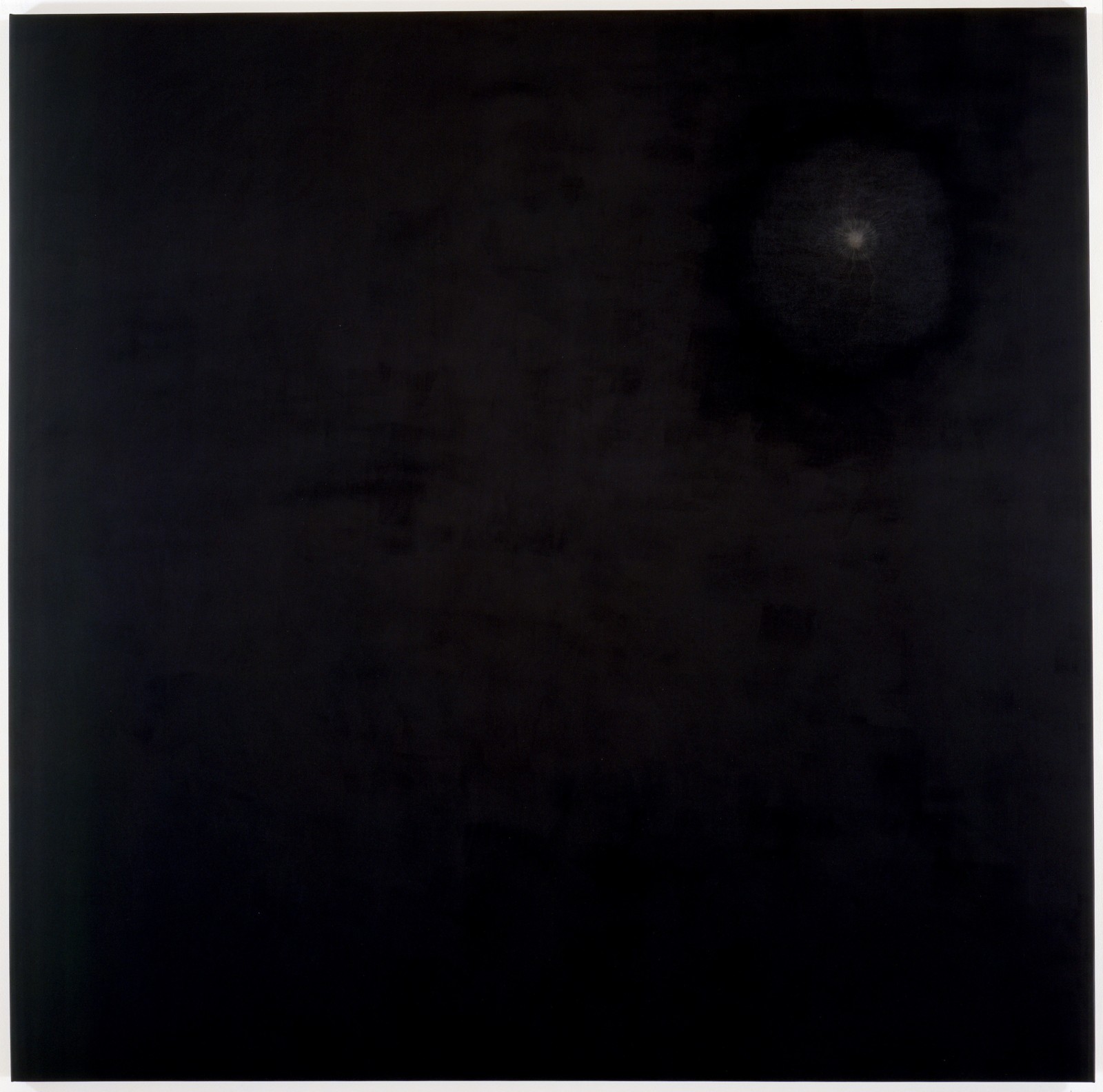 SHIRAZEH HOUSHIARY, Black light, 1998