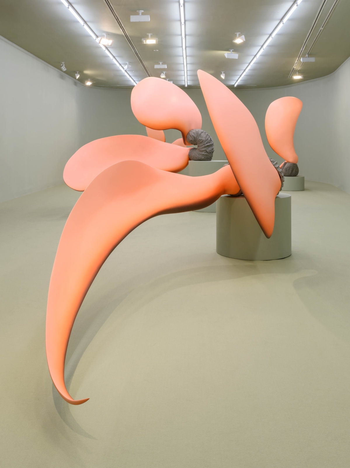 Teresa Solar Abboud: Machine Dream Bird, Installation view