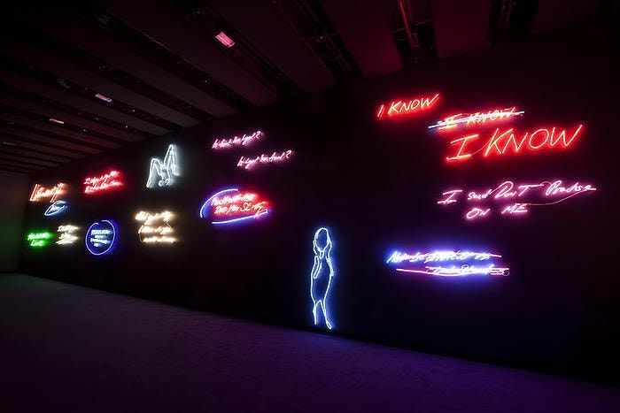 Tracey Emin: Love Is What You Want