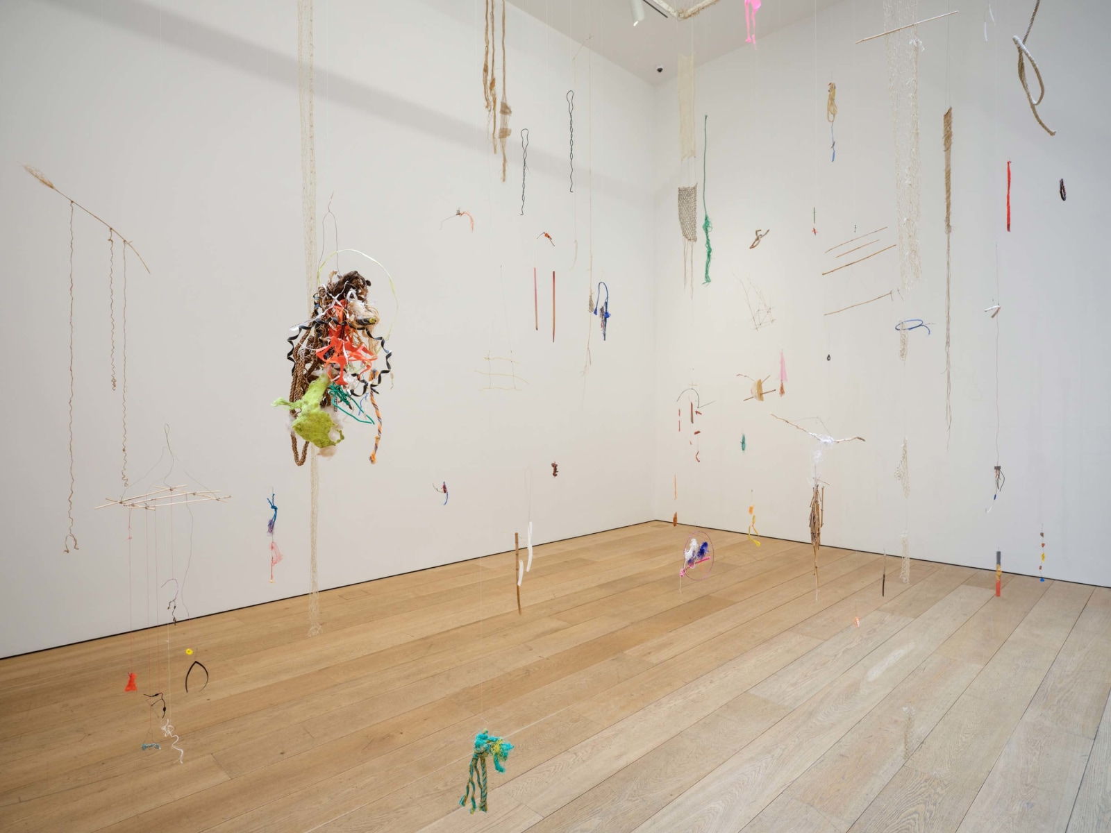 Cecilia Vicu&ntilde;a: La Migranta Blue Nipple, Installation View