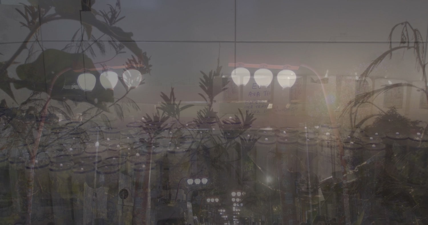 Nari Ward, SPRING SEED, 2025 (video still)