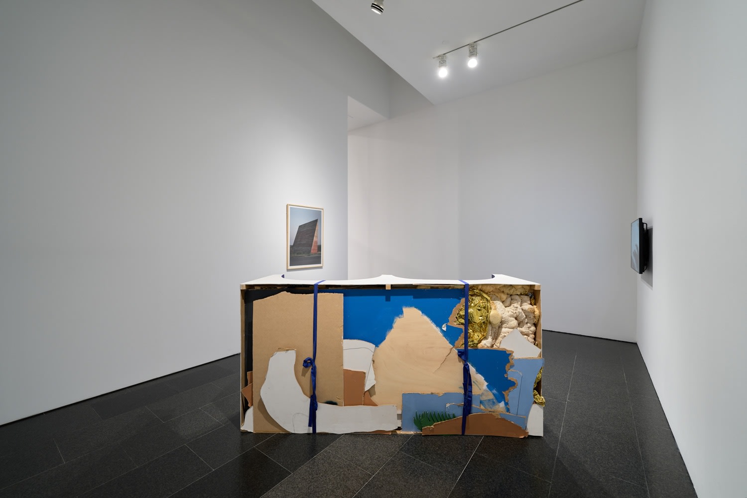 Teresa Solar Abboud: Bird Machine Dream, Installation view